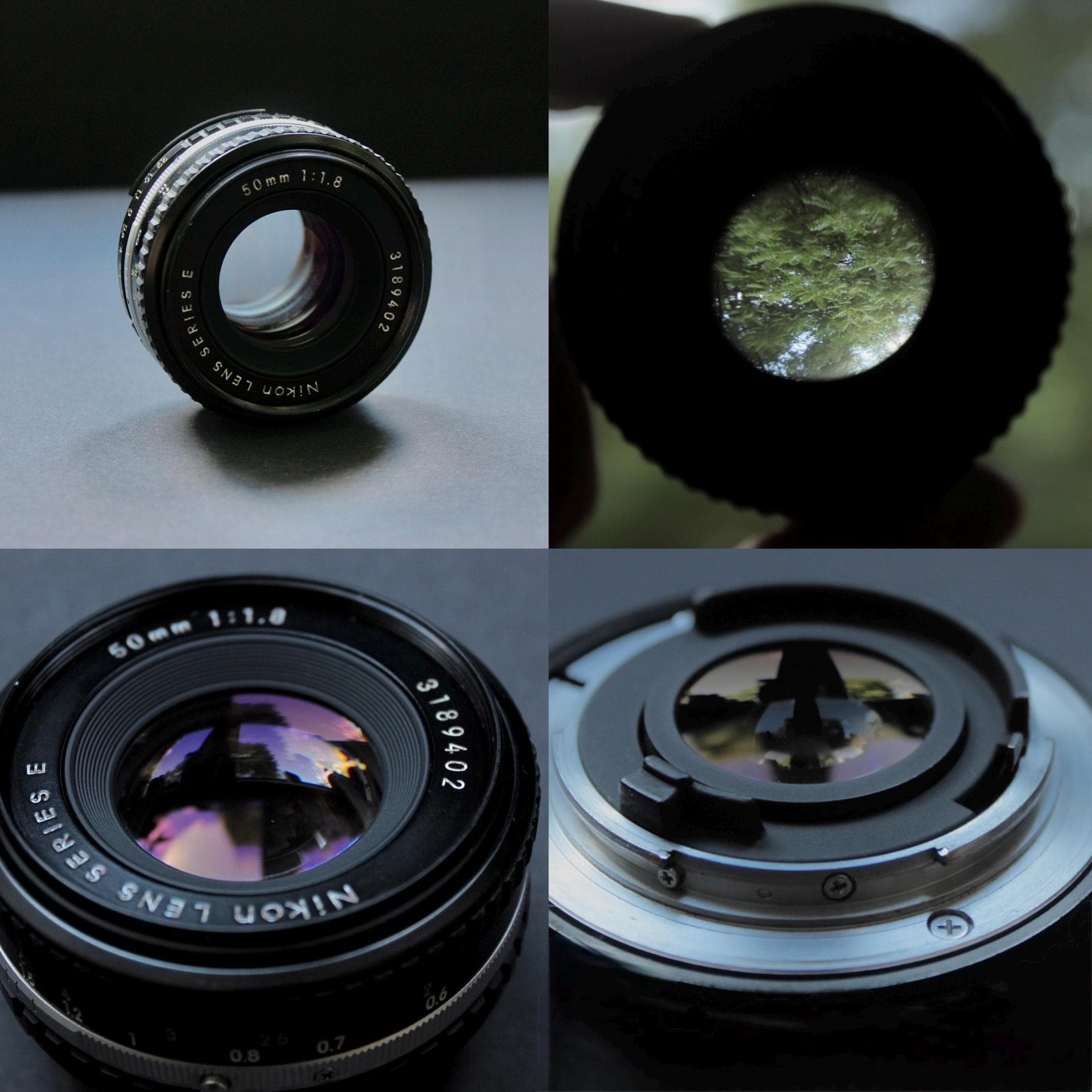 Nikon EM with Nikon Series E Lens - Image 4