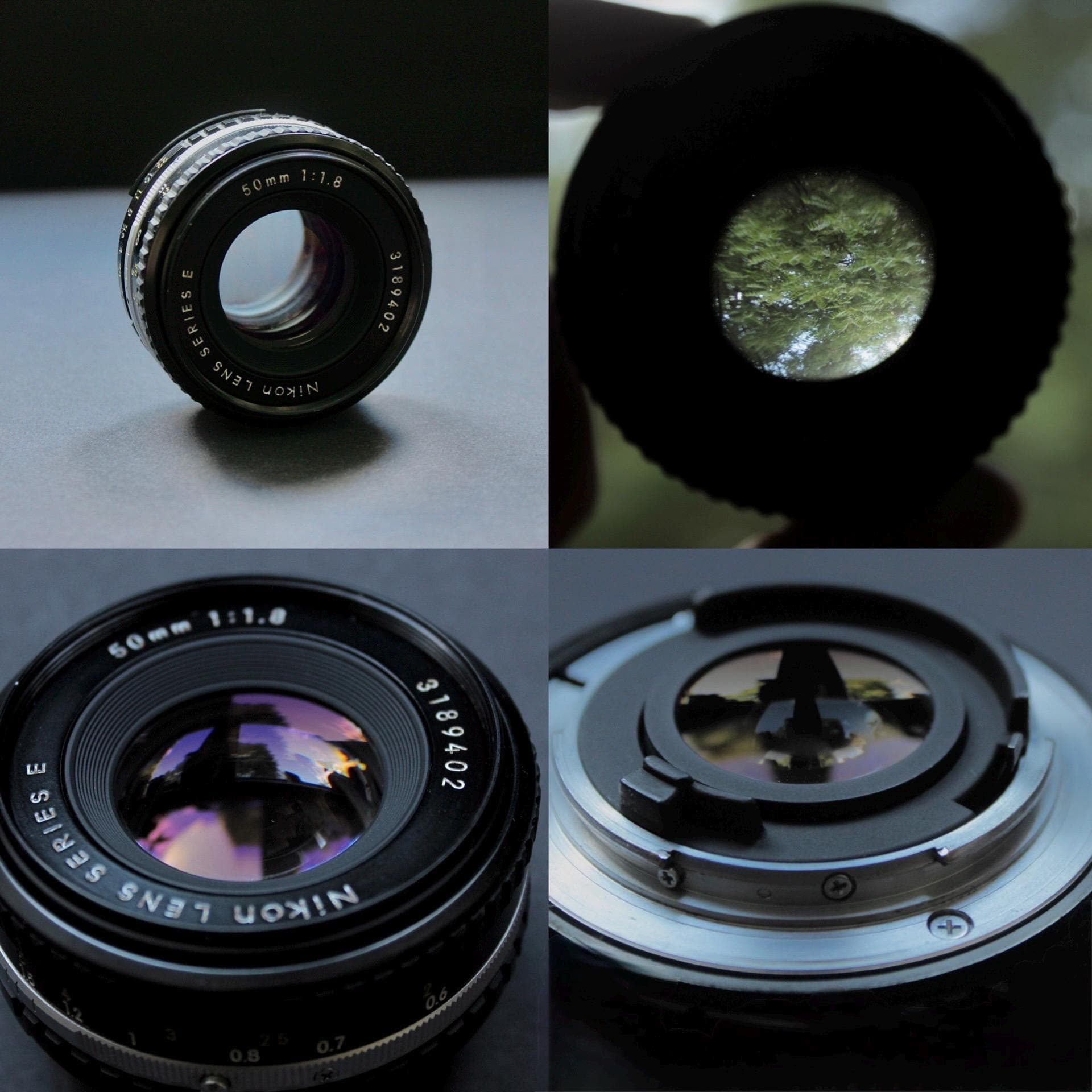 Nikon EM with Nikon Series E Lens - Image 4