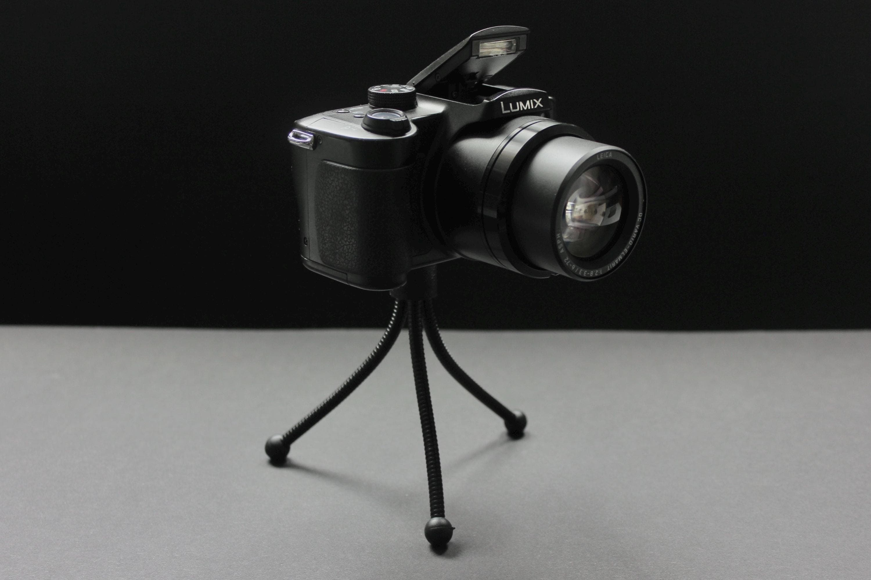 Panasonic Lumix DMC-FZ5 - Image 3